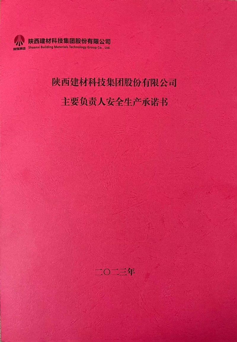 陜西建材科技集團(tuán)股份有限公司主要負(fù)責(zé)人安全生產(chǎn)承諾書(shū)1